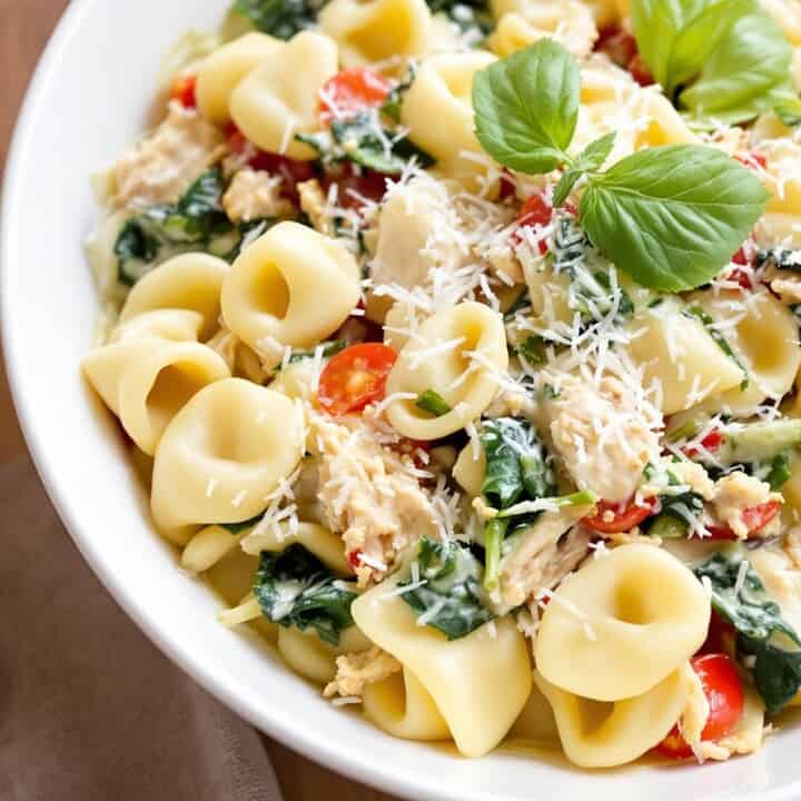 Crockpot Chicken Tortellini: An Easy Comfort Food Recipe 3 Crockpot chicken tortellini