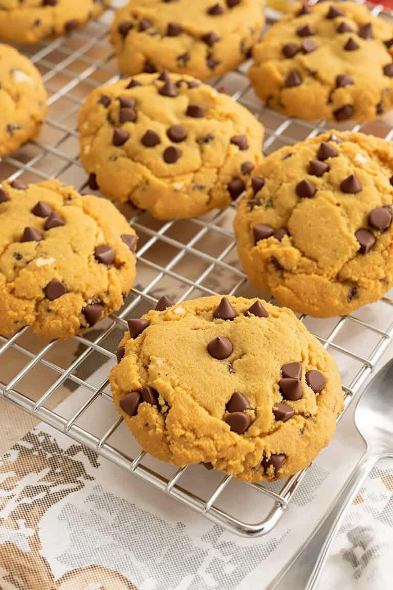 Pumpkin chocolate chip cookies
